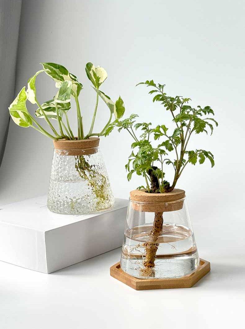 Vaso Nordic Hidropônico