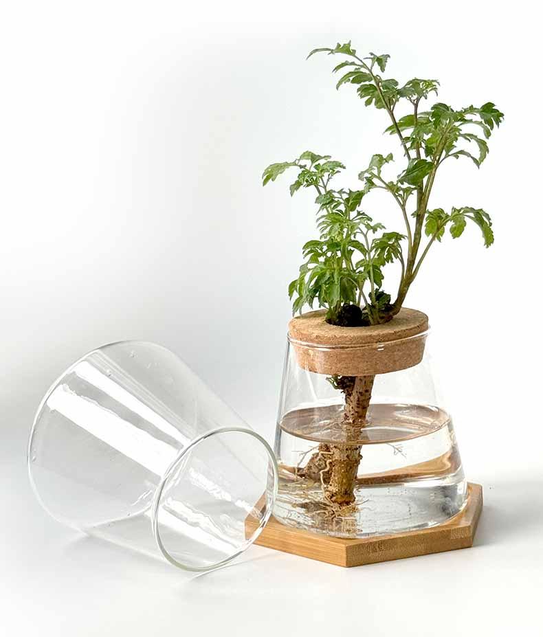 Vaso Nordic Hidropônico