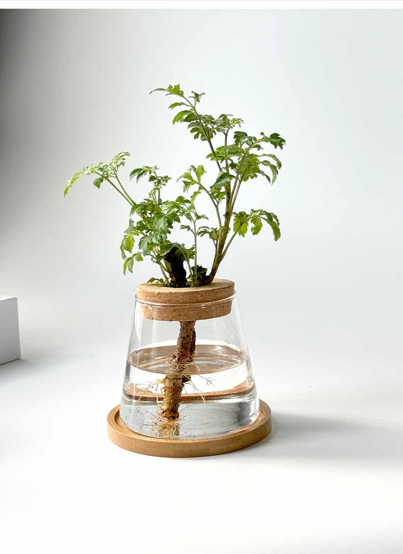 Vaso Nordic Hidropônico